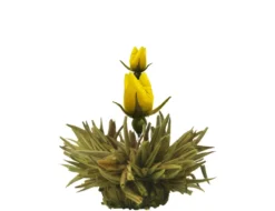 Creano Teeblumen Mix 18er ErblühTee Weißer Tee In Edeler Magnetbox Mit Sichtfenster & Silberprägung -Senseo || Tassimo Verkäufe 14d14d5464696029666882531eb95f5a