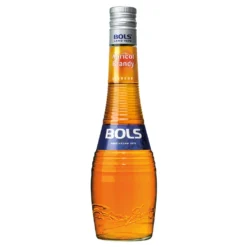 Bols Apricot Brandy Likör 24% 0,5L