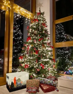 Jägermeister Adventskalender Fanpaket - Kalender 24 Verschiedene Fan Artikel Jägermeister Zubehör Geschenkbox Kräuterlikör Überraschungsbox (35% Vol)- [Enthält Sulfite] -Senseo || Tassimo Verkäufe 37544843decb3d161ffc403b3ff48d8a