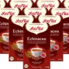 10 X BIO YOGI TEA Echinacea | 10 X 30,6g