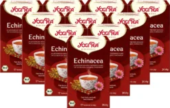 10 X BIO YOGI TEA Echinacea | 10 X 30,6g