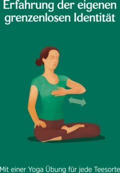 10 X BIO YOGI TEA Glücks Tee | 10 X 34g -Senseo || Tassimo Verkäufe 4048fa4f041dcb1e10b903584e0a1b51