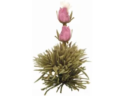 Creano Teeblumen Mix 18er ErblühTee Weißer Tee In Edeler Magnetbox Mit Sichtfenster & Silberprägung -Senseo || Tassimo Verkäufe 47a63bfb21d6593a640fe687956d5141