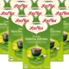 10x BIO YOGI TEA Grüntee Matcha Zitrone | 10x30,6g