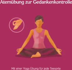 10 X BIO YOGI TEA Frauenbalance | 10 X 30,6g -Senseo || Tassimo Verkäufe 727f3a0ca316a91407e277360451b429