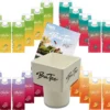 Capital BraTee 32er Tasting Set 8 Pro Geschmackssorte Eistee Je 750ml + Gratis Getränkehalter + Autogrammkarte BRATEE Ice Tea 8x Wassermelone 8x Zitrone 8x Pfirsich 8x Granatapfel - Mit Capi-Qualitäts-Siegel