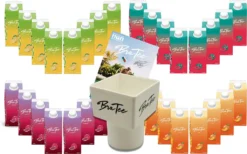 Capital BraTee 32er Tasting Set 8 Pro Geschmackssorte Eistee Je 750ml + Gratis Getränkehalter + Autogrammkarte BRATEE Ice Tea 8x Wassermelone 8x Zitrone 8x Pfirsich 8x Granatapfel - Mit Capi-Qualitäts-Siegel