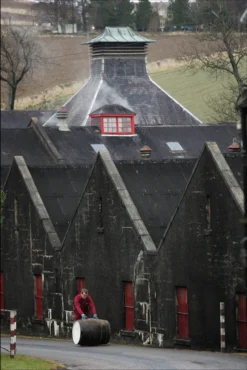 The GlenDronach 12 Jahre Original Highland Single Malt Scotch Whisky In Geschenkpackung | 43 % Vol | 0,7 L -Senseo || Tassimo Verkäufe 9b34092709b6bcdf05603be4ea79525d