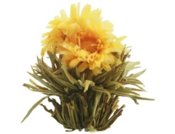 Creano Teeblumen Mix 18er ErblühTee Weißer Tee In Edeler Magnetbox Mit Sichtfenster & Silberprägung -Senseo || Tassimo Verkäufe ad09e540ef33ba1c76e3b9ae85da18eb