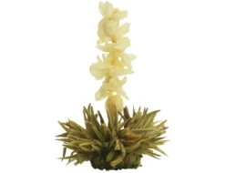 Creano Teeblumen Mix 18er ErblühTee Weißer Tee In Edeler Magnetbox Mit Sichtfenster & Silberprägung -Senseo || Tassimo Verkäufe b48764625ed33ecafc0c5870911fe244