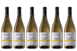 Girlaner Bianco 448 - 2020 - 6 X 0,75 Lt. - Kellerei Girlan