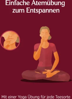 10 X BIO YOGI TEA Ingwer Hibiskus | 10 X 34g -Senseo || Tassimo Verkäufe bd95b465739840a9970875727dd5c682