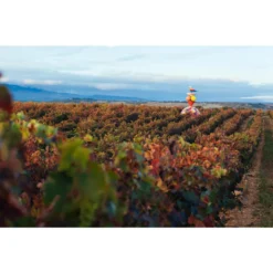 Campo Viejo Rioja Tempranillo Trocken | 13 % Vol | 0,75 L -Senseo || Tassimo Verkäufe c805e11a762d22cf0a4338dc628e483a