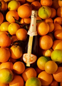 Chandon Garden Spritz 0,75l, 11,5%vol. -Senseo || Tassimo Verkäufe d42b846762292333883ad2187460e0a5