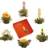 Creano Teeblumen Mix – „ErblühTee“ In Edler Geschenkbox Zum Probieren | Weißtee (6 Verschiedene Sorten Teerosen) Geschenk Für Frauen, Mutter, Teeliebhaber